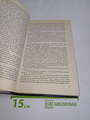 Странствующий подмастерье