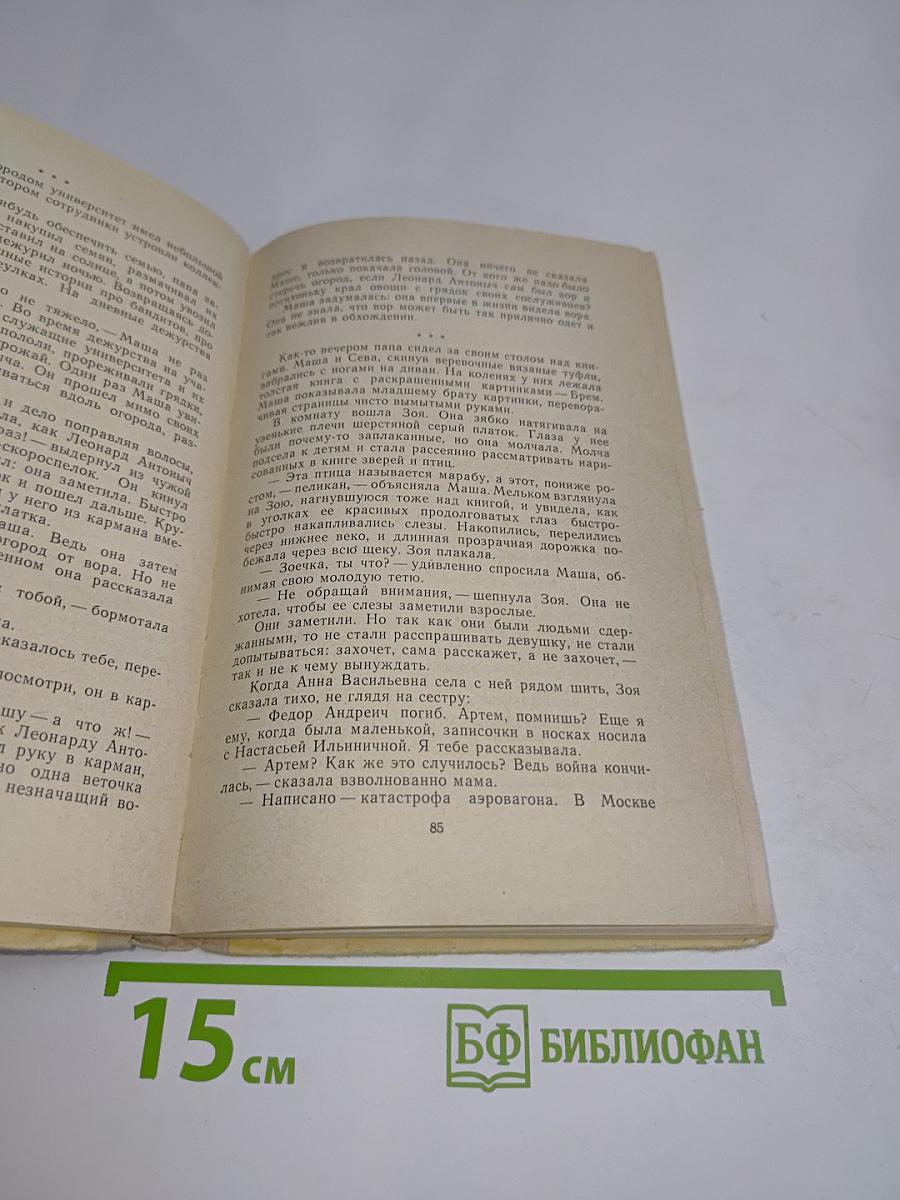 Начало жизни