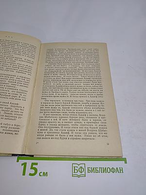 Всадник переходит бурную реку