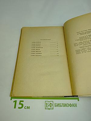 Всадник переходит бурную реку