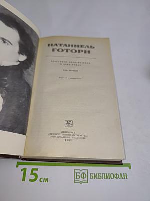 Натаниель Готторн. Том первый