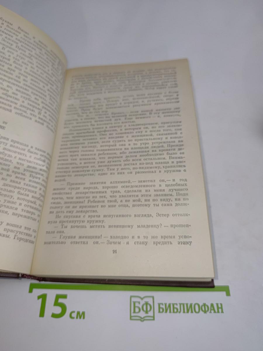 Натаниель Готторн. Том первый