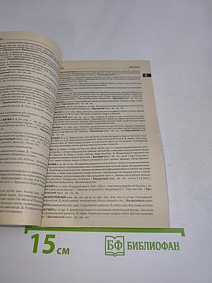 Толковый словарь русского языка