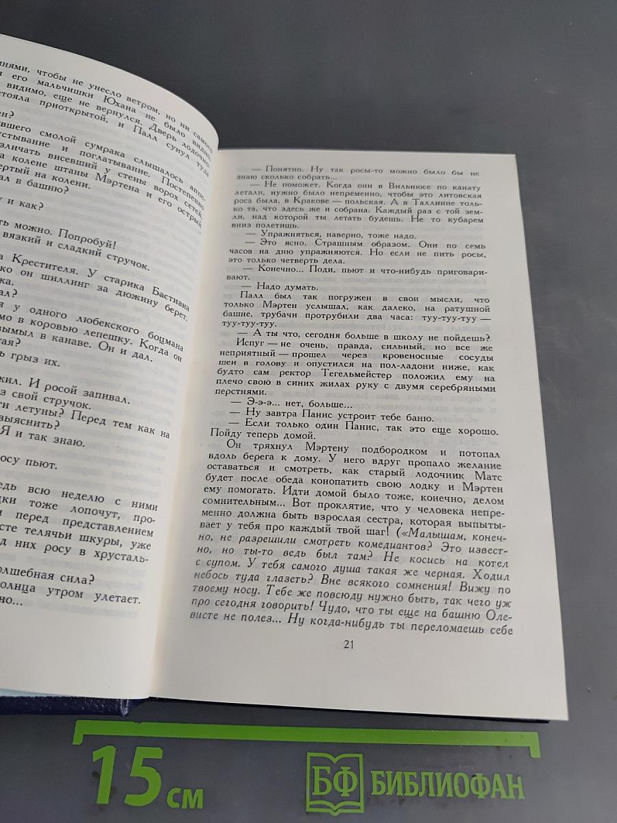 Между тремя поветриями