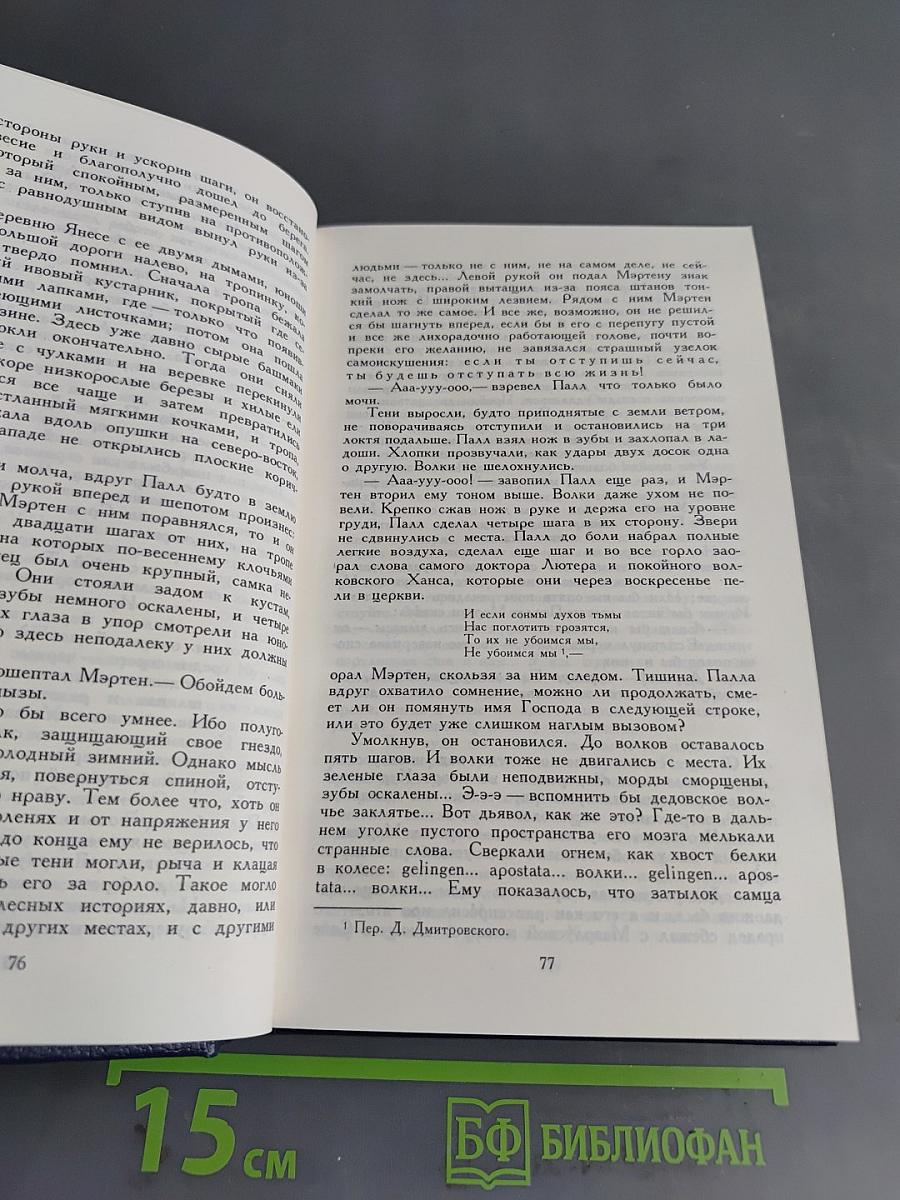 Между тремя поветриями