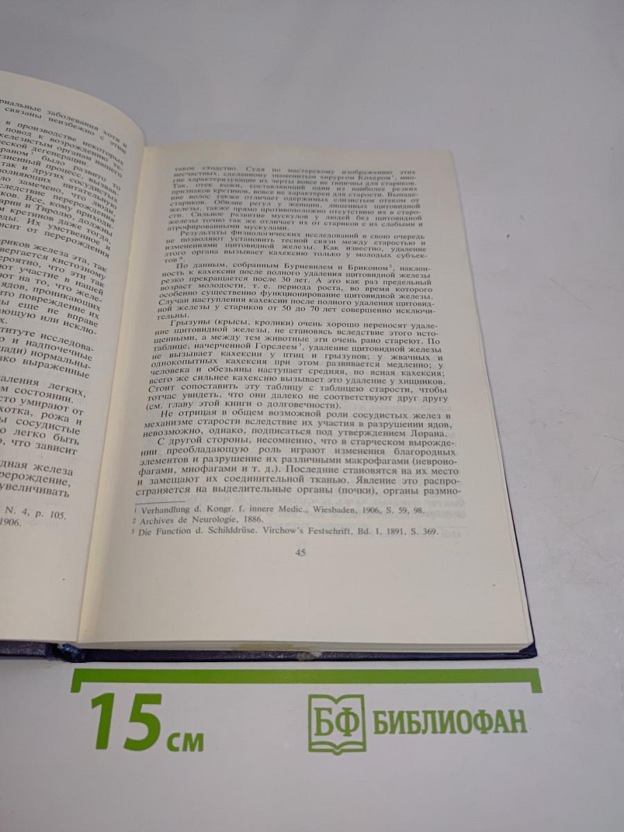 Этюды оптимизма