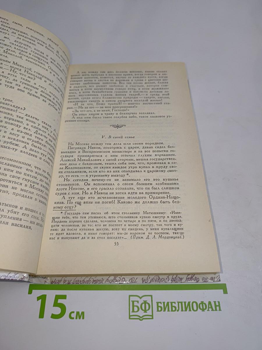 За чьи грехи? Великий раскол