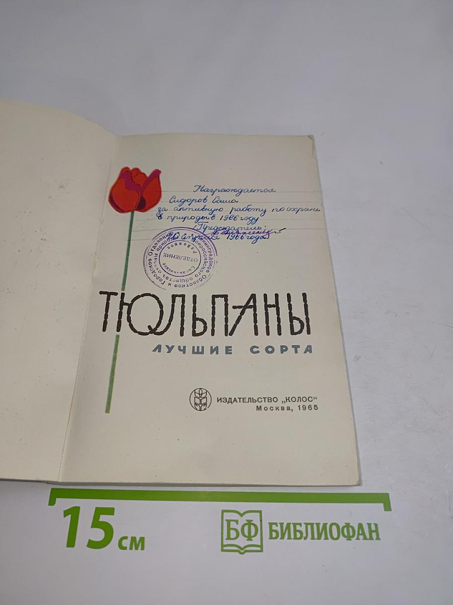Тюльпаны. Лучшие сорта