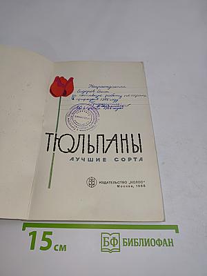 Тюльпаны. Лучшие сорта