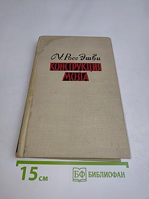 Конструкция мозга
