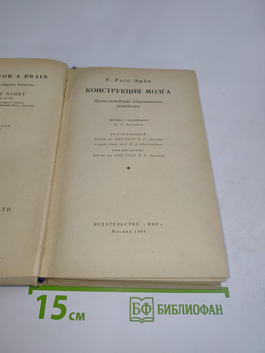Конструкция мозга