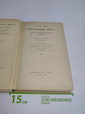 Конструкция мозга