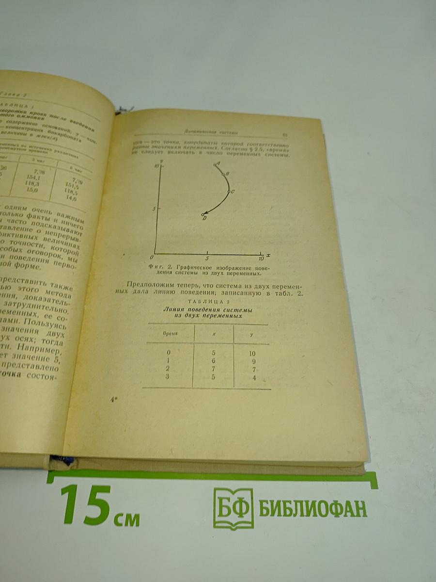 Конструкция мозга