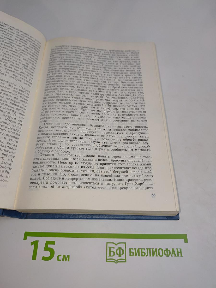 Путь к сердцу мудрости. Опыт прозрения