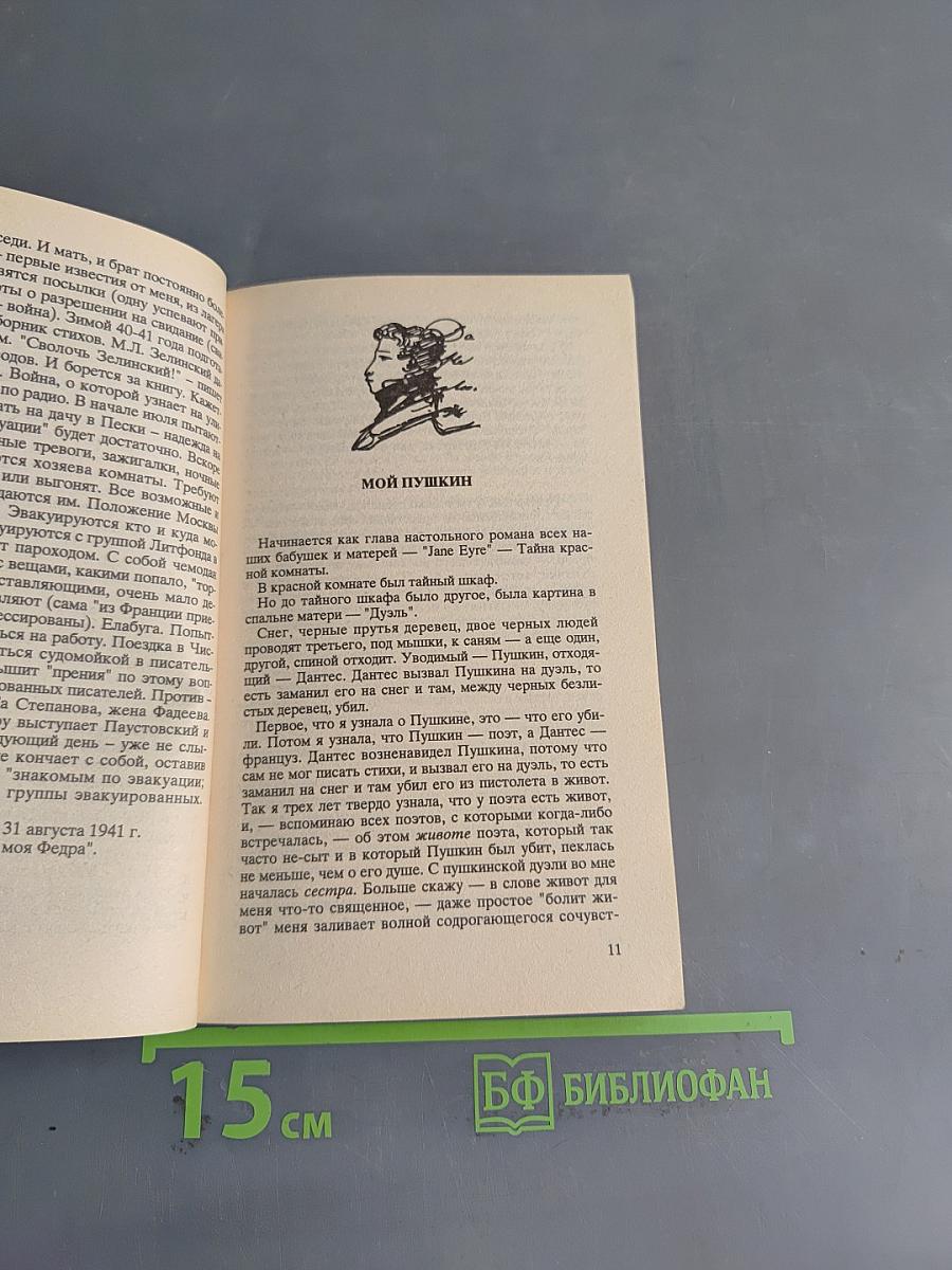 Мой Пушкин