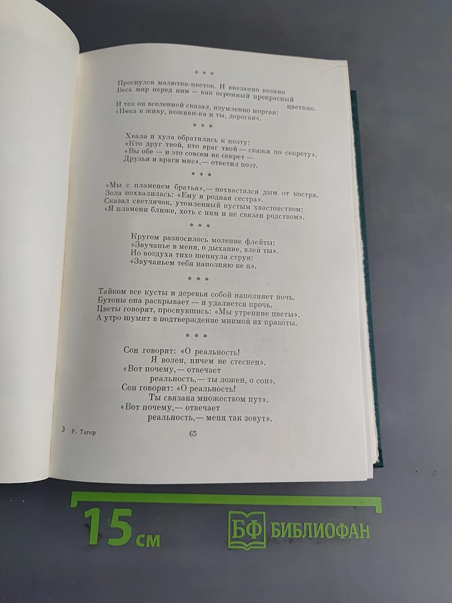 Стихотворения. Рассказы. Гора