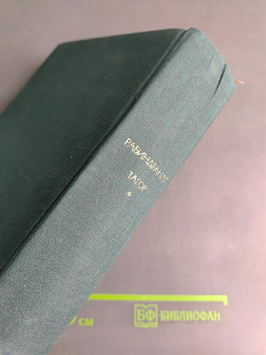 Стихотворения. Рассказы. Гора