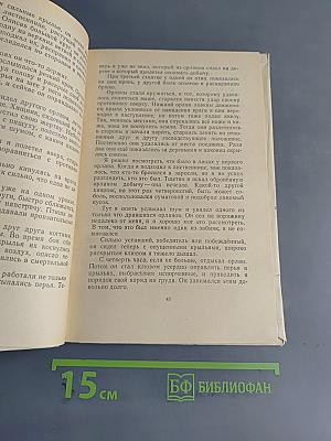 Встречи в тайге