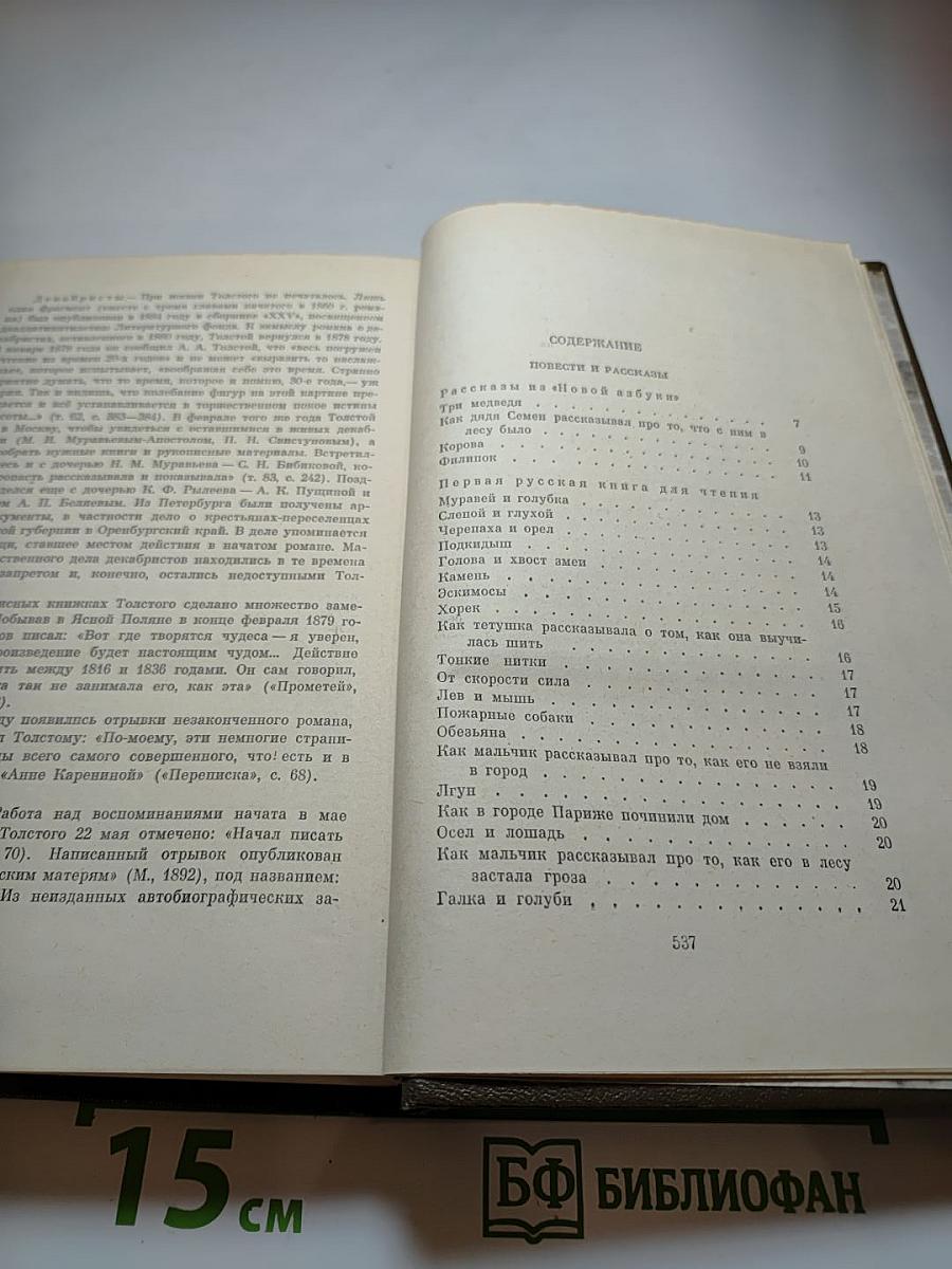 Повести и рассказы 1872-1886. Том 10