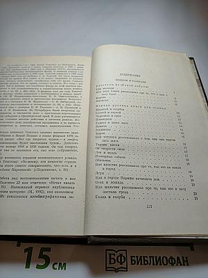 Повести и рассказы 1872-1886. Том 10