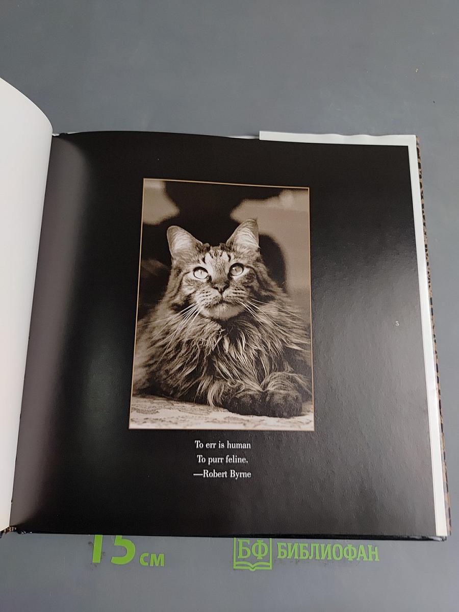 Catography