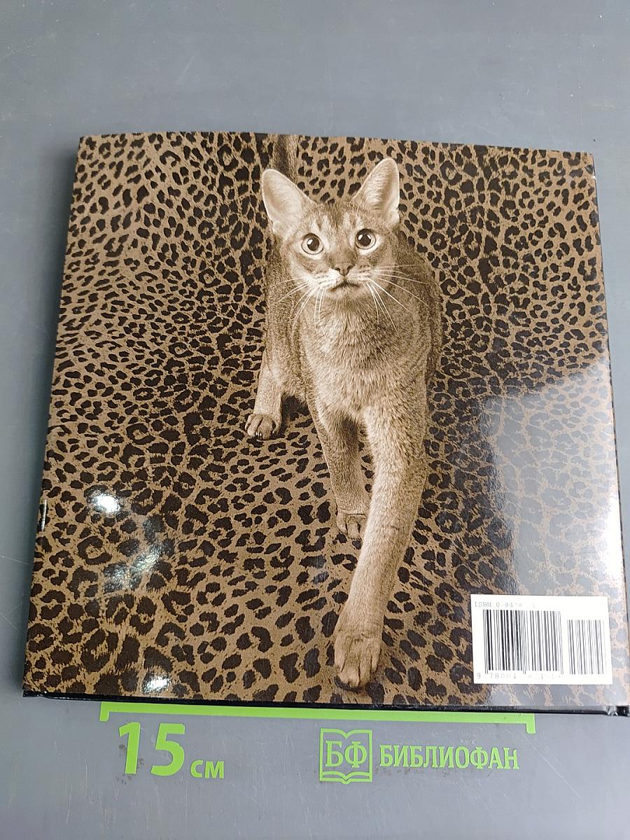 Catography