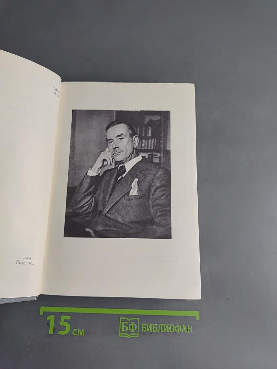 Будденброки. История гибели одного семейства