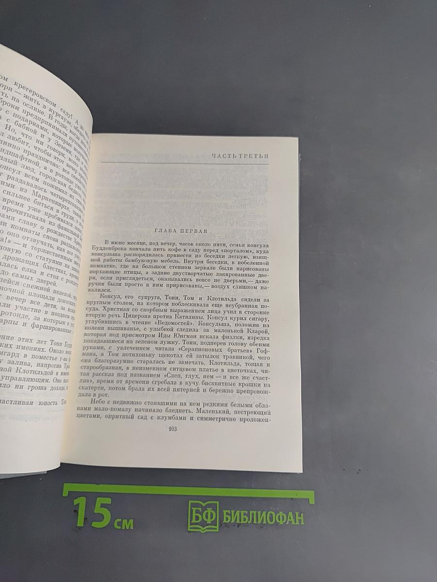 Будденброки. История гибели одного семейства