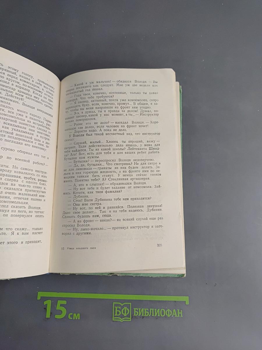 Улица Младшего Сына