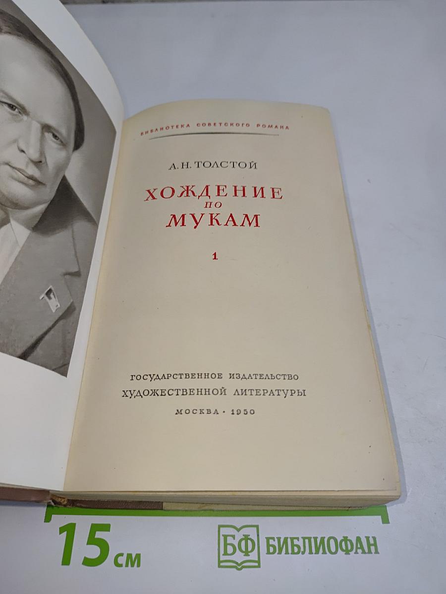 Хождение по мукам. Книга 1. Сестры