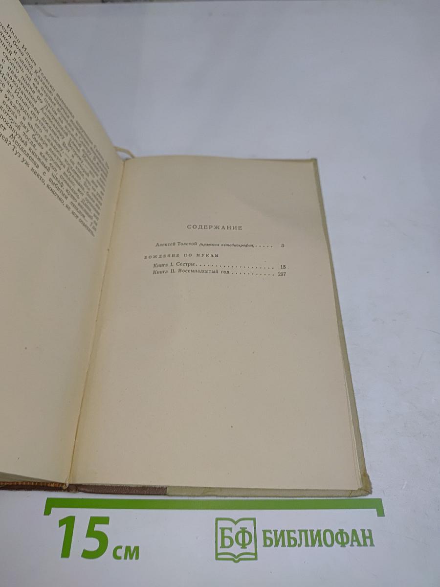 Хождение по мукам. Книга 1. Сестры