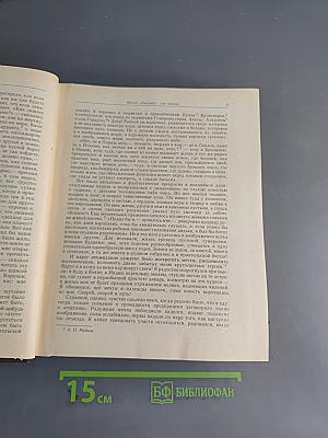 Фрегат «Паллада»