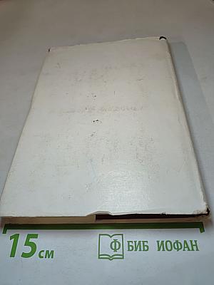 На меридианах дружбы