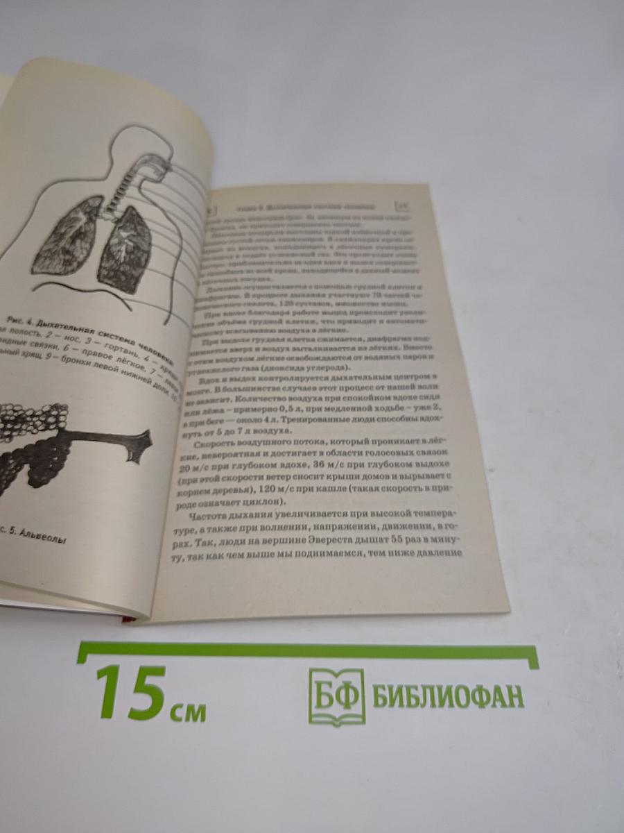 Вэйкан «Тяньши»: Мощный активатор энергии