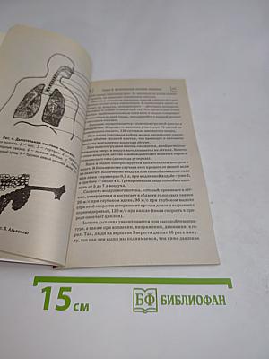 Вэйкан «Тяньши»: Мощный активатор энергии