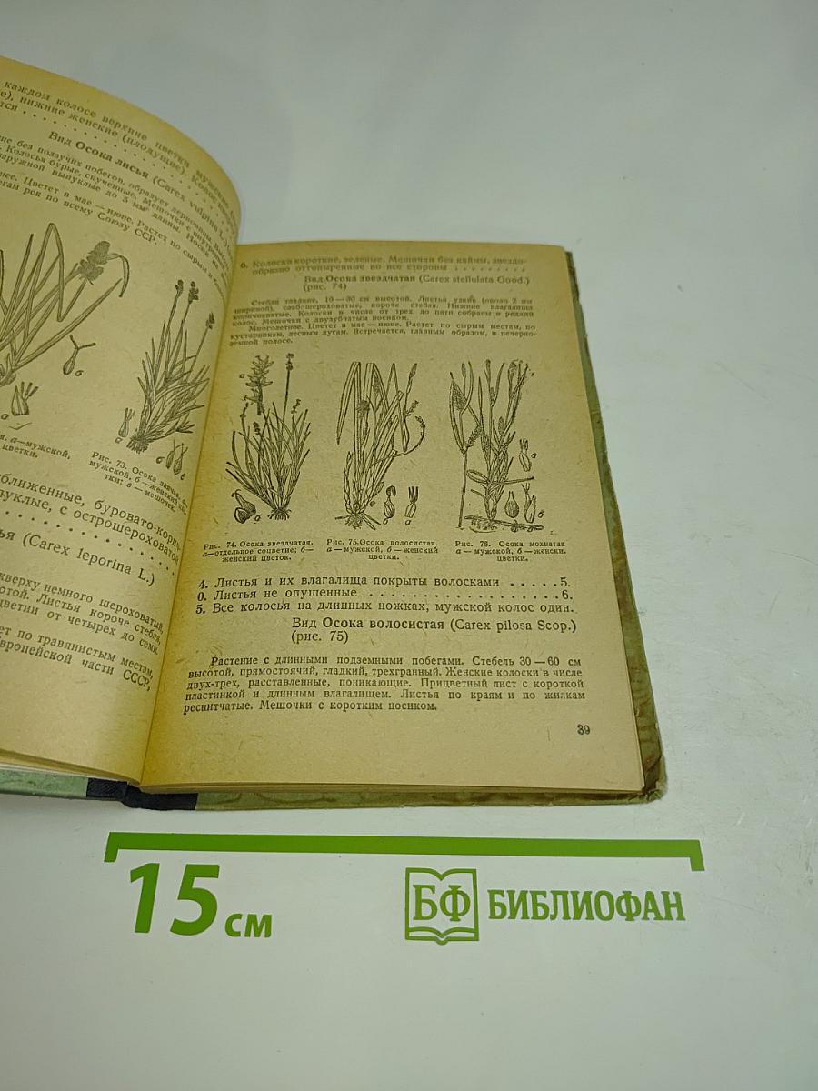 Школьный определитель цветковых растений