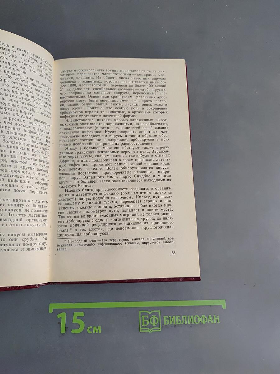 Третий лик