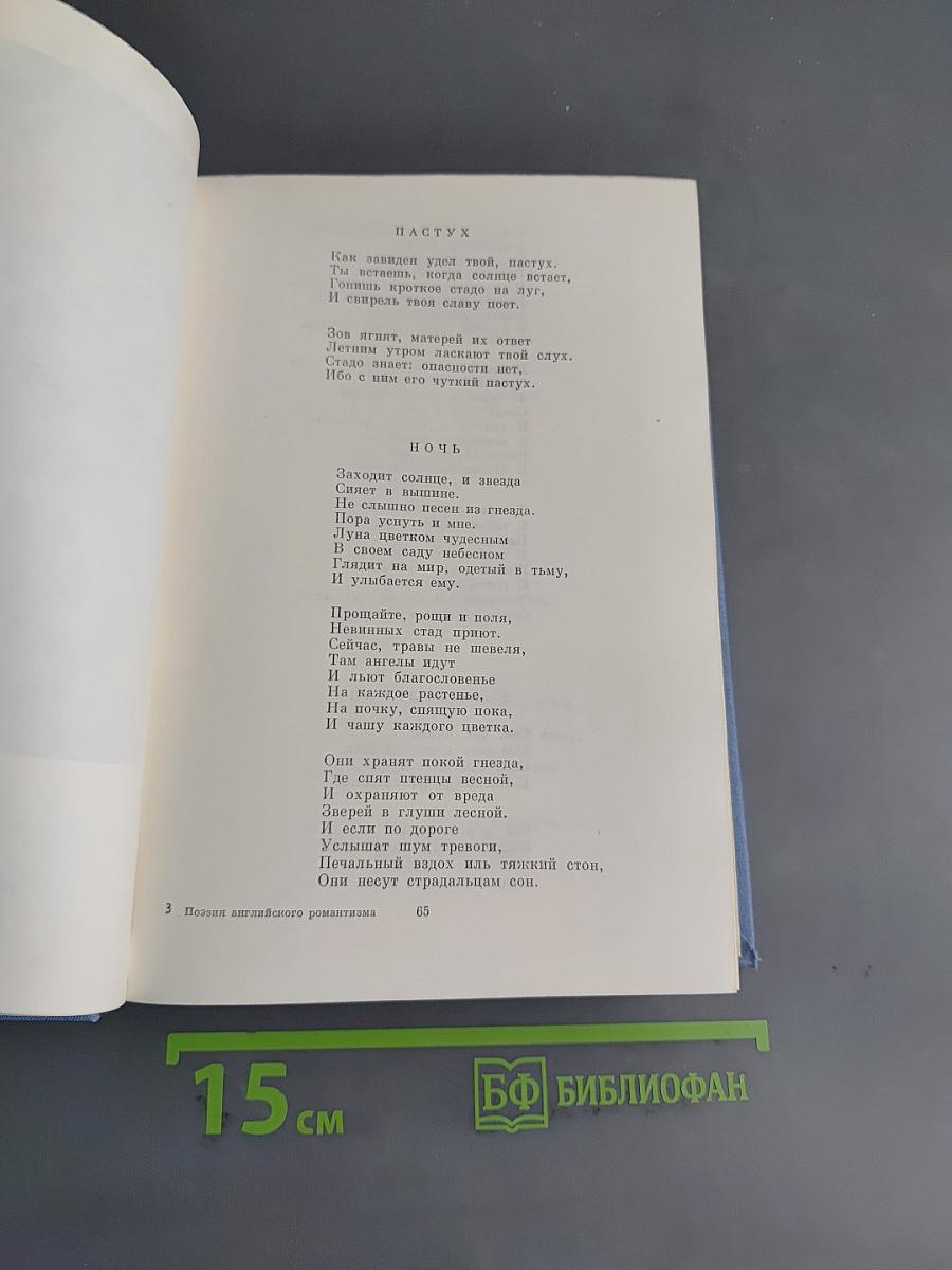 Поэзия английского романтизма