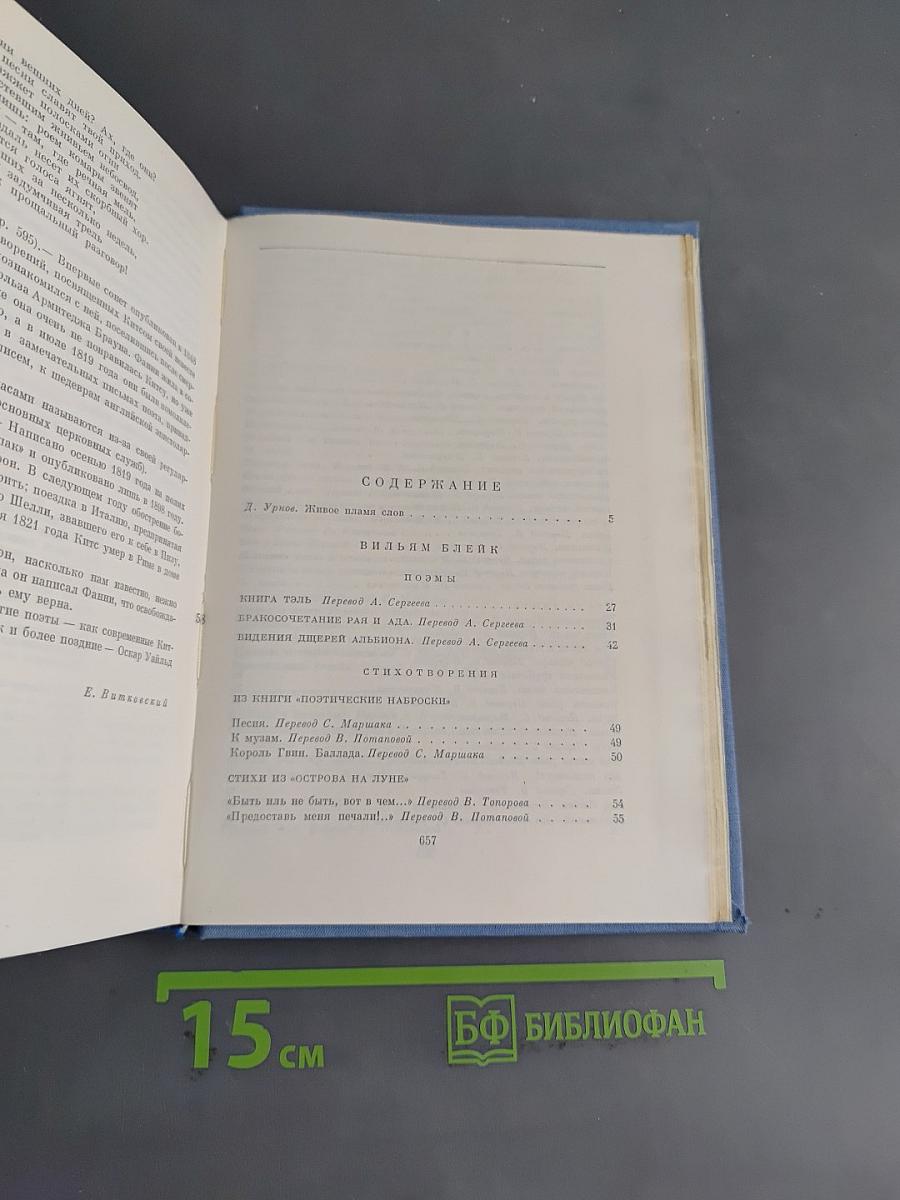 Поэзия английского романтизма