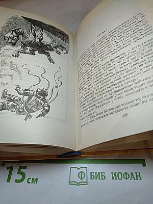 Последний шанс