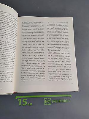 Бруни