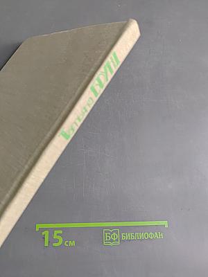Бруни