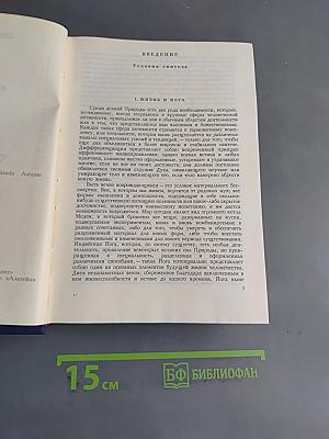 Синтез йоги