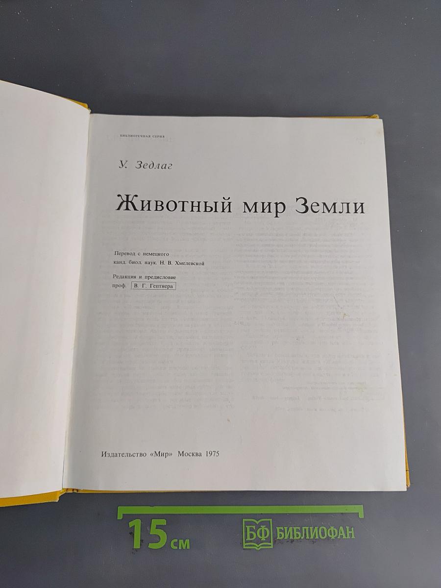 Животный мир Земли