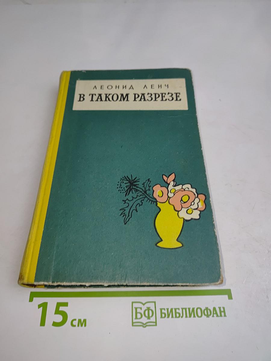 В таком разрезе