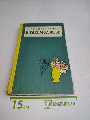 В таком разрезе