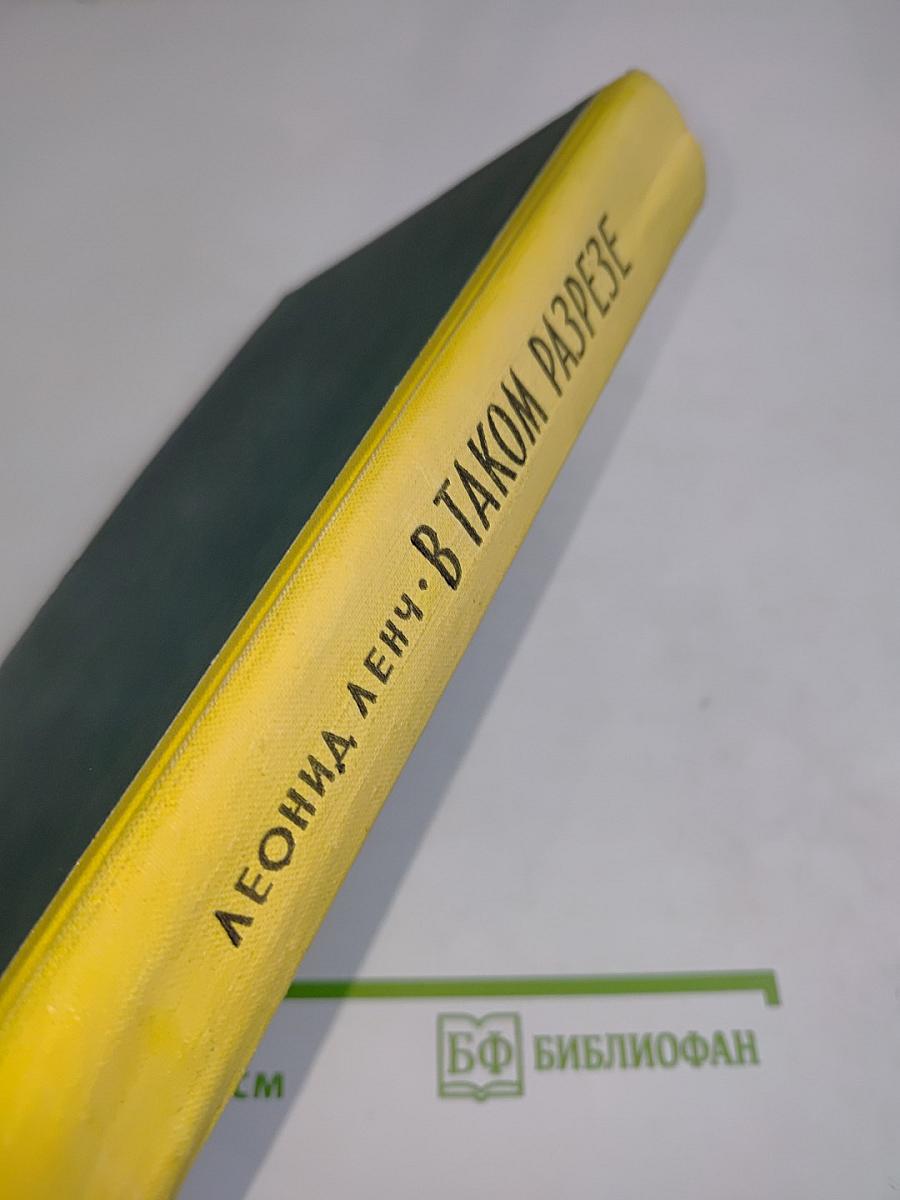 В таком разрезе