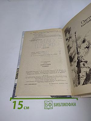 Одеты камнем