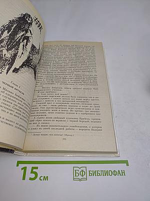 Одеты камнем