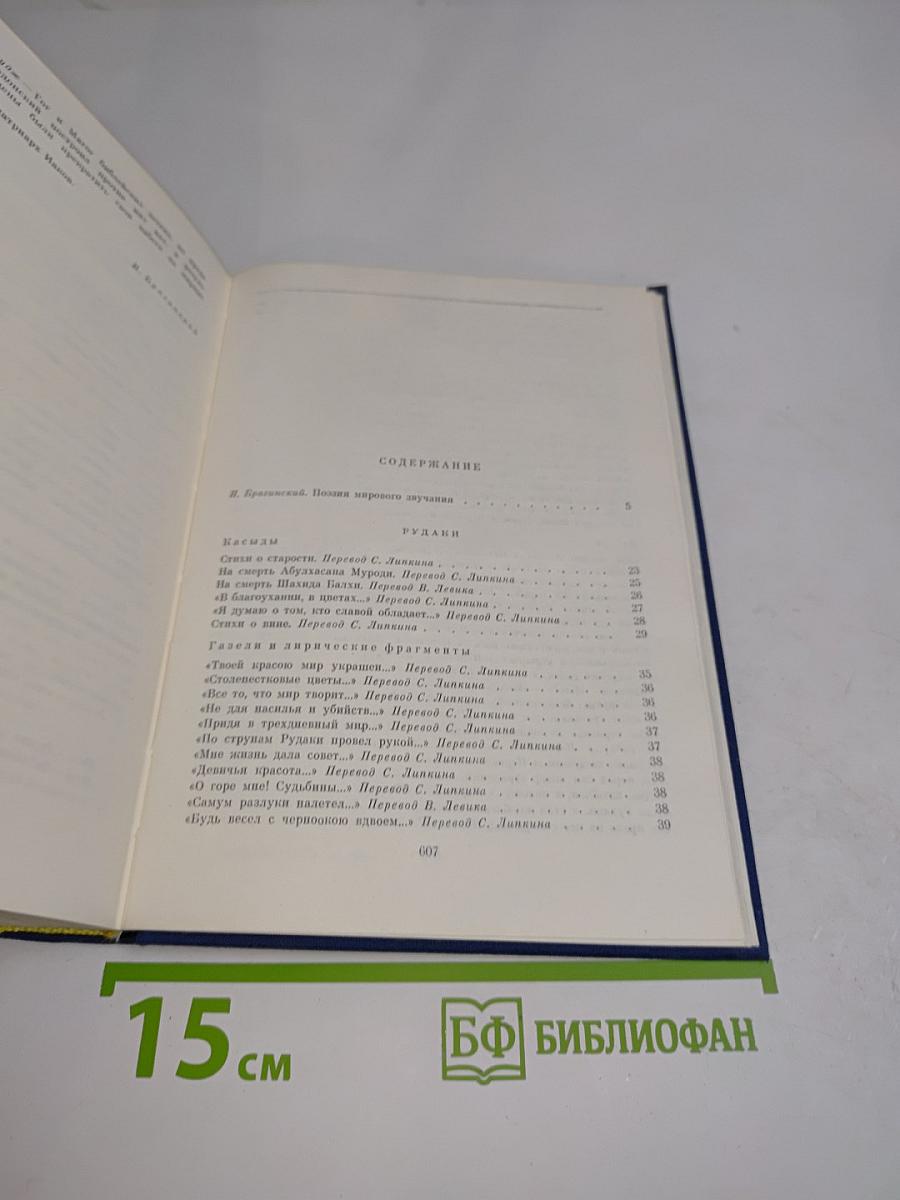 Ирано-таджикская поэзия